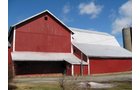 Property photo 10 - 127 Acres Offered in 4 Tracts